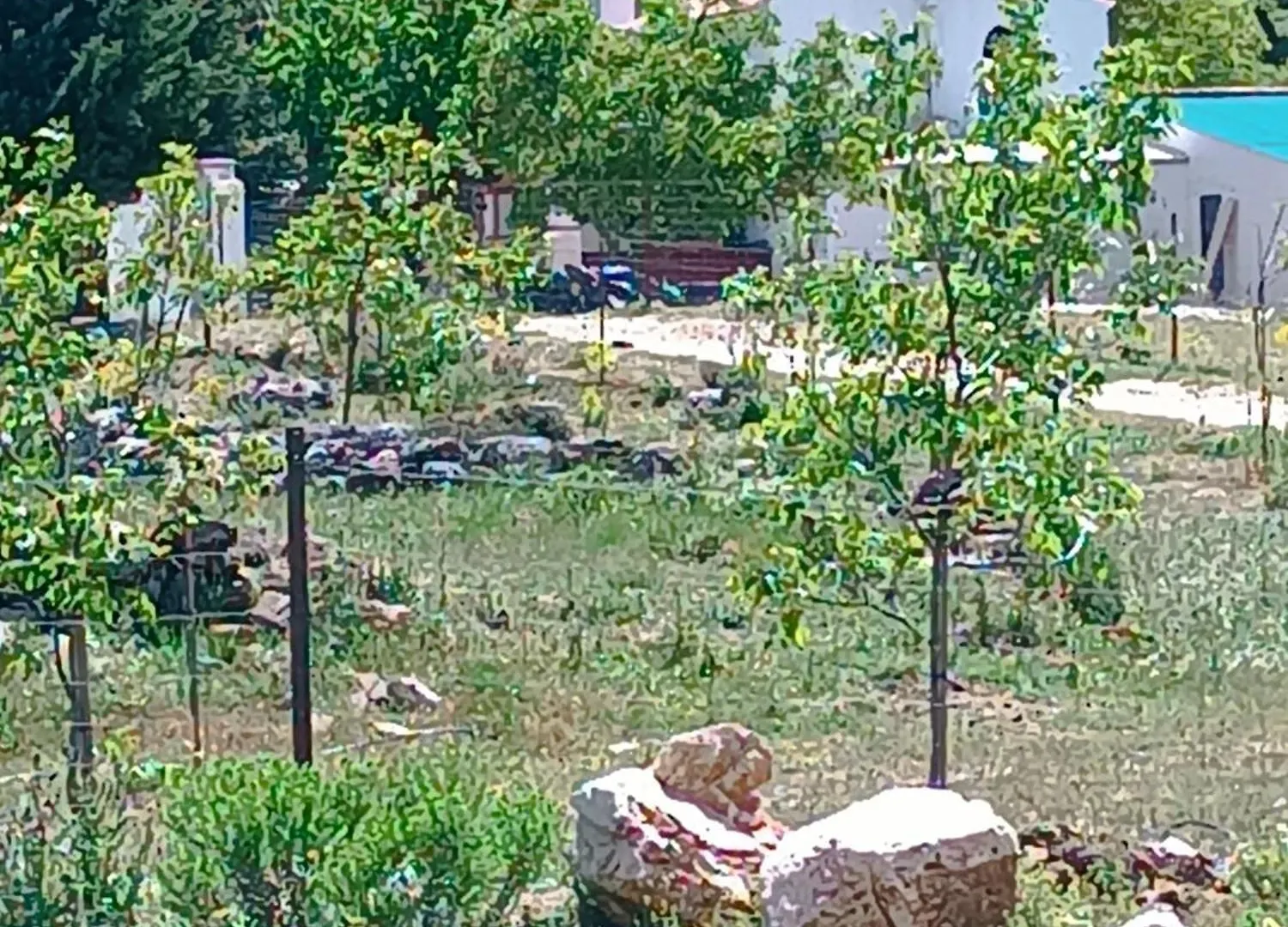 Casa Rural Guadalupe De La Fuenfria Igualeja スペイン